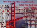2008-b