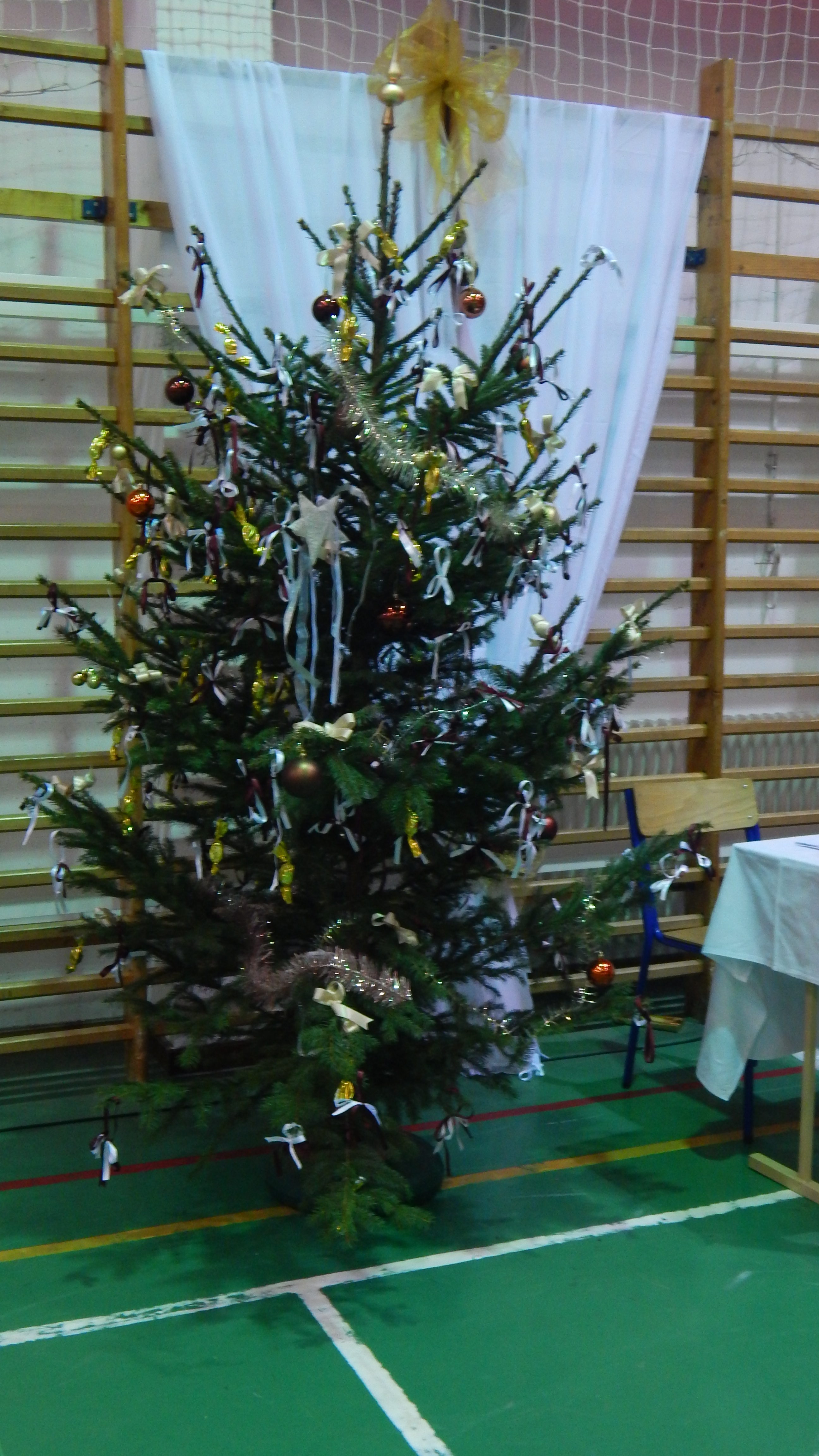 dscn6477